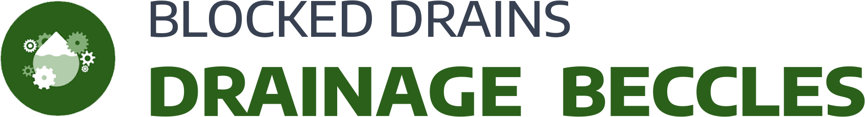 website logo